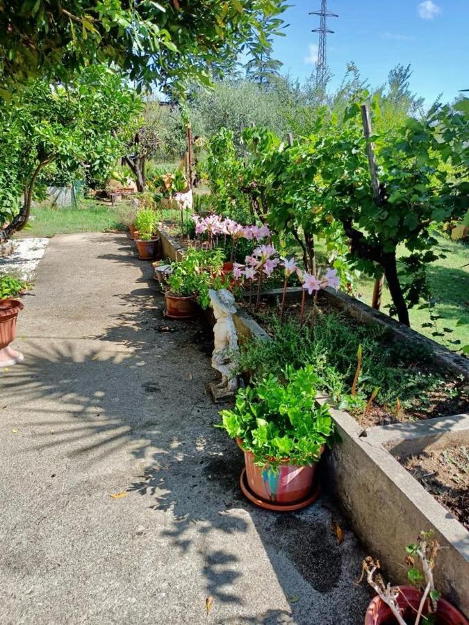 Colle Perazzoni Apartment Fiano Romano Bagian luar foto