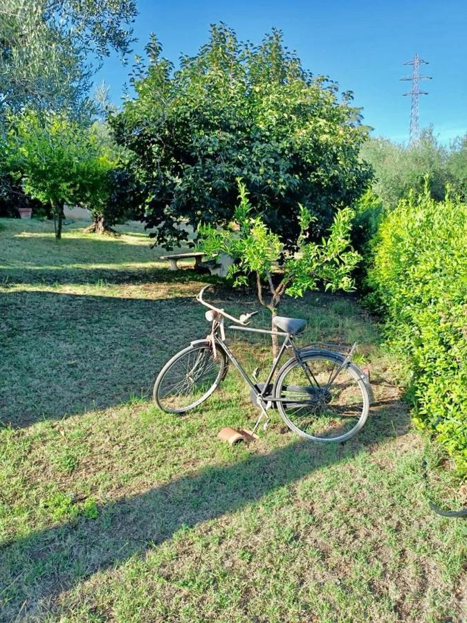 Colle Perazzoni Apartment Fiano Romano Bagian luar foto