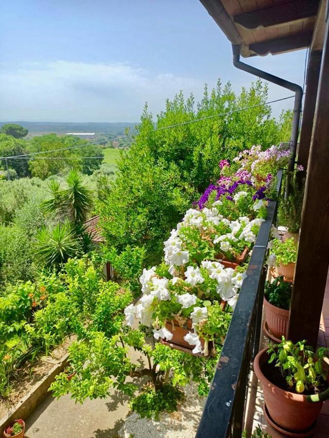 Colle Perazzoni Apartment Fiano Romano Bagian luar foto