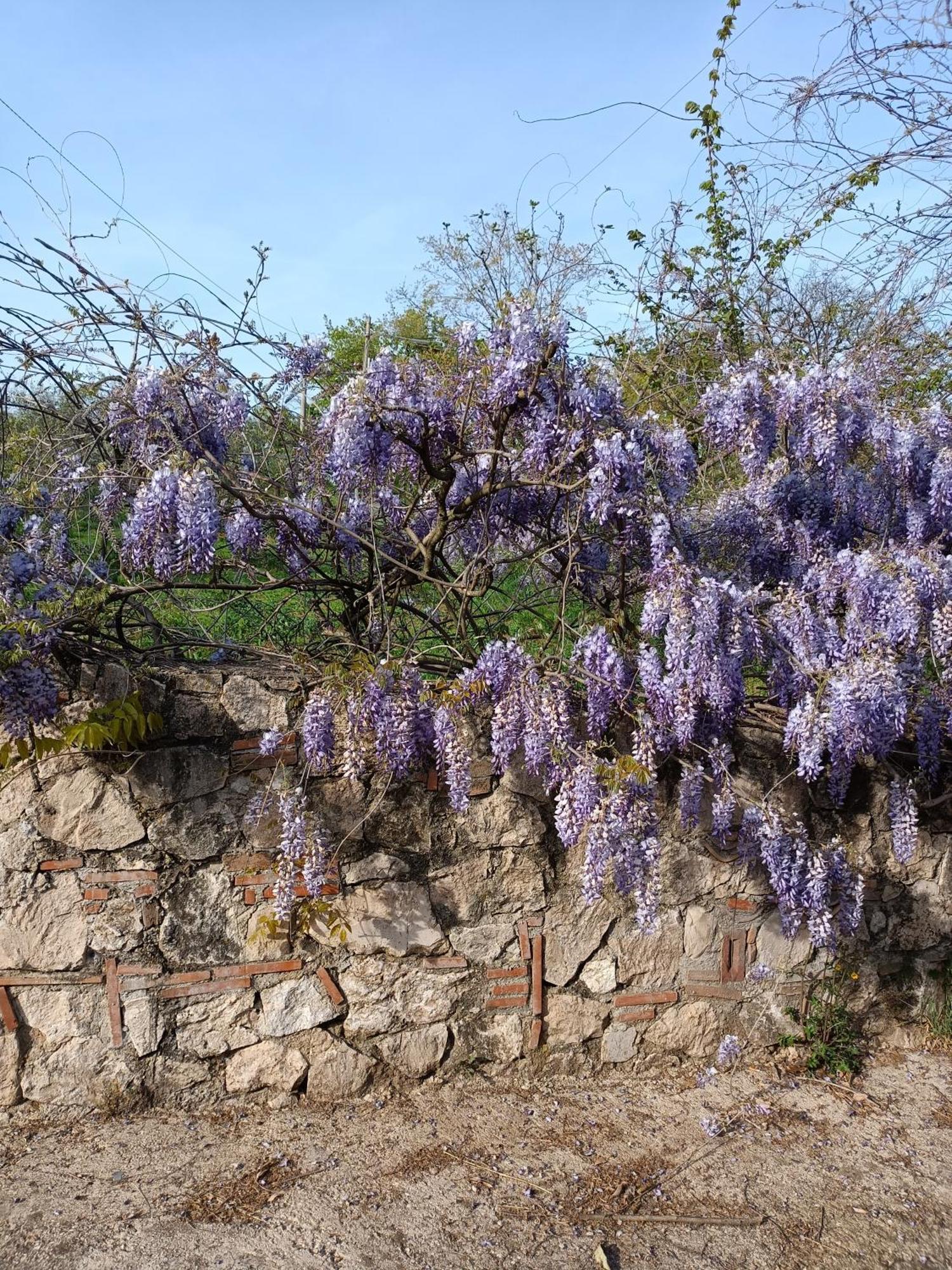 Colle Perazzoni Apartment Fiano Romano Bagian luar foto