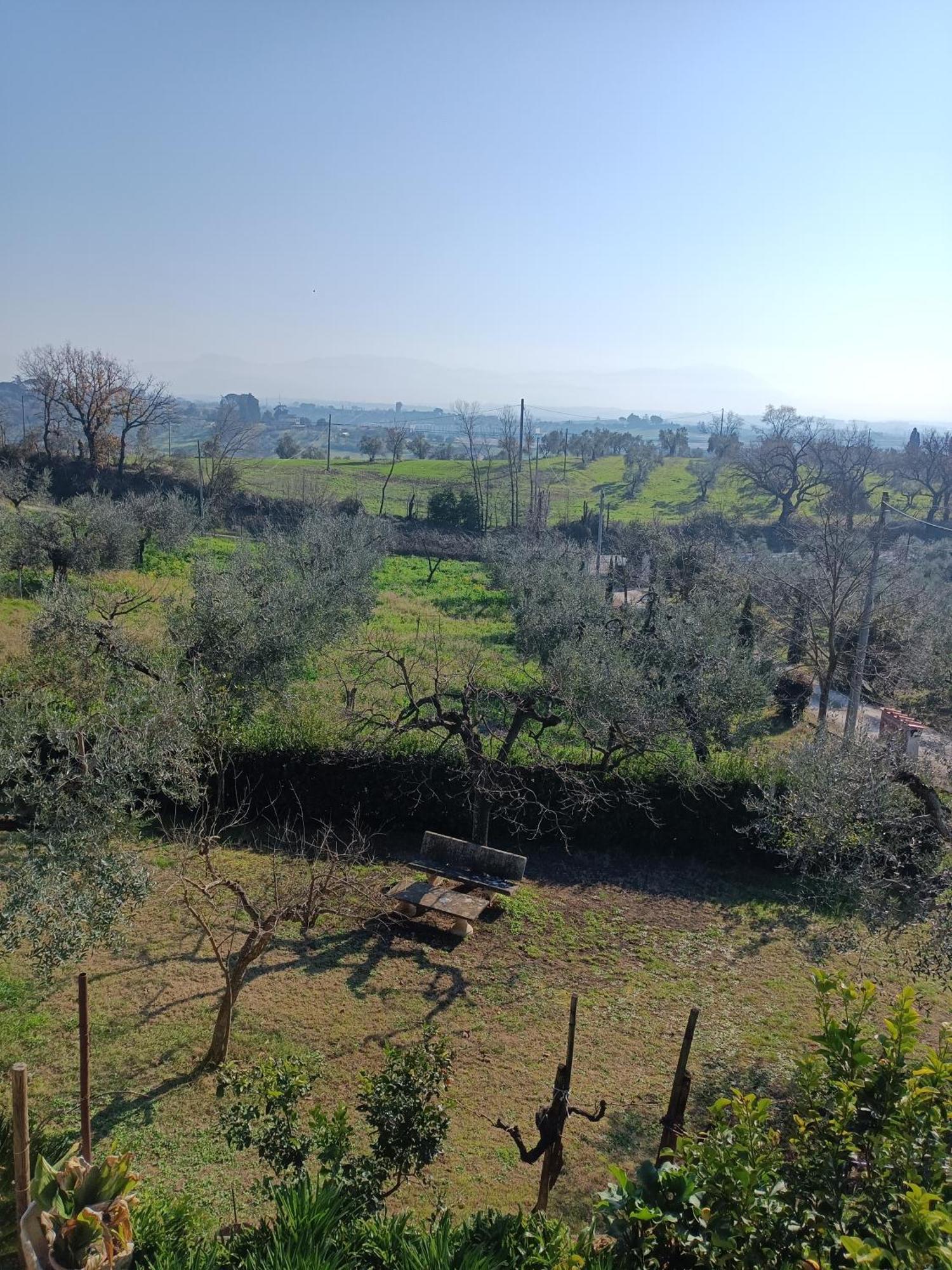 Colle Perazzoni Apartment Fiano Romano Bagian luar foto
