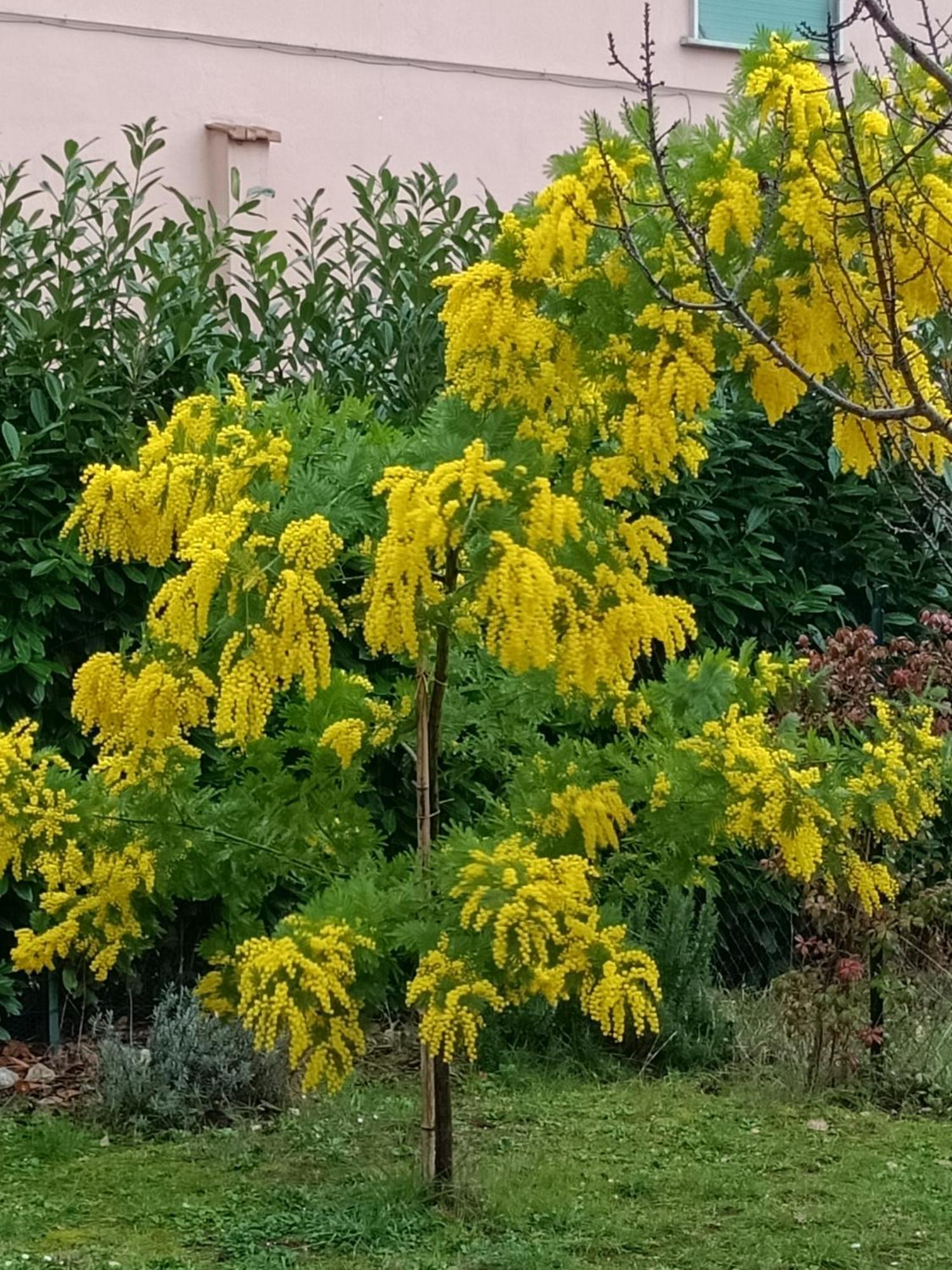 Colle Perazzoni Apartment Fiano Romano Bagian luar foto