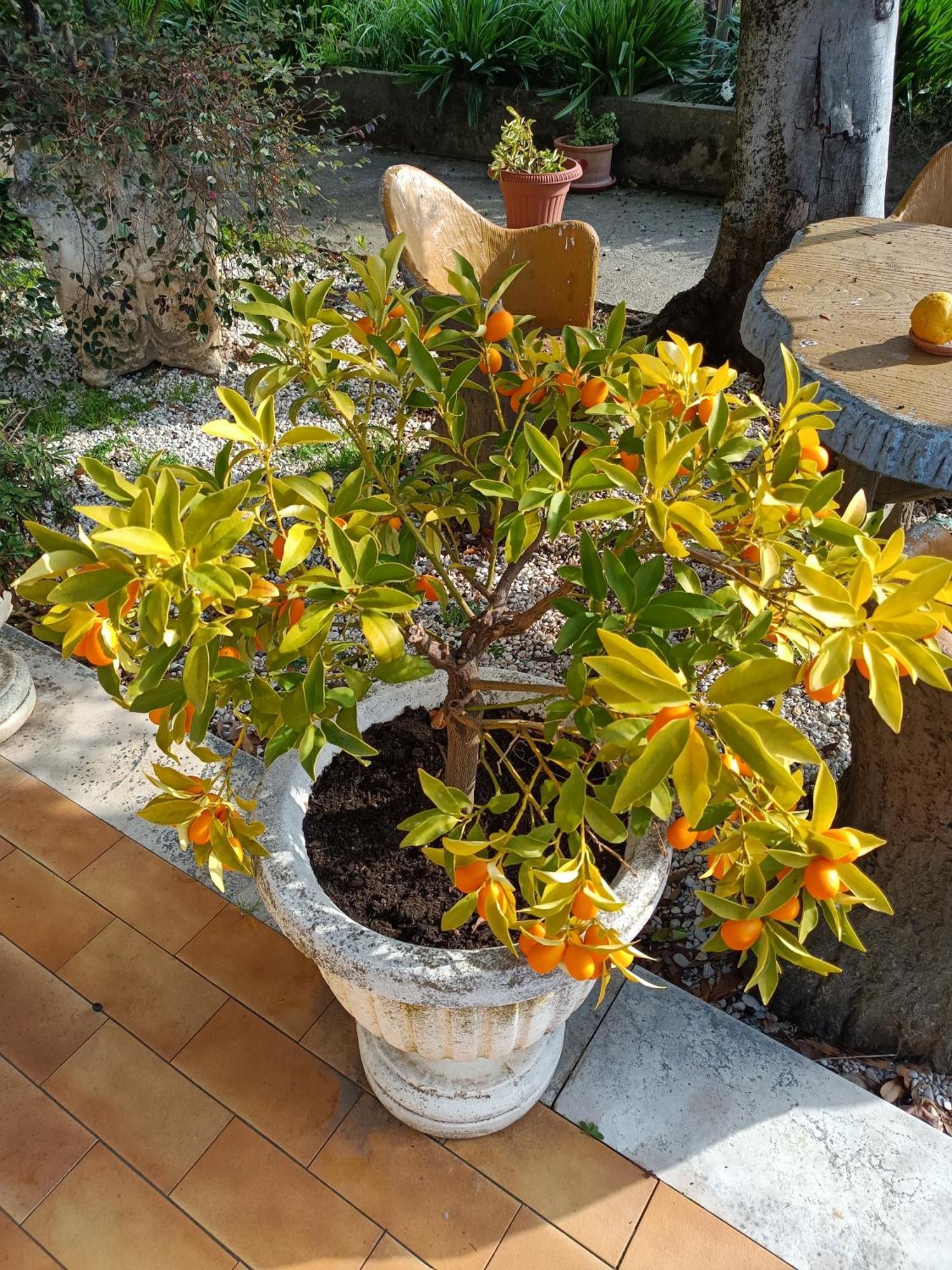 Colle Perazzoni Apartment Fiano Romano Bagian luar foto