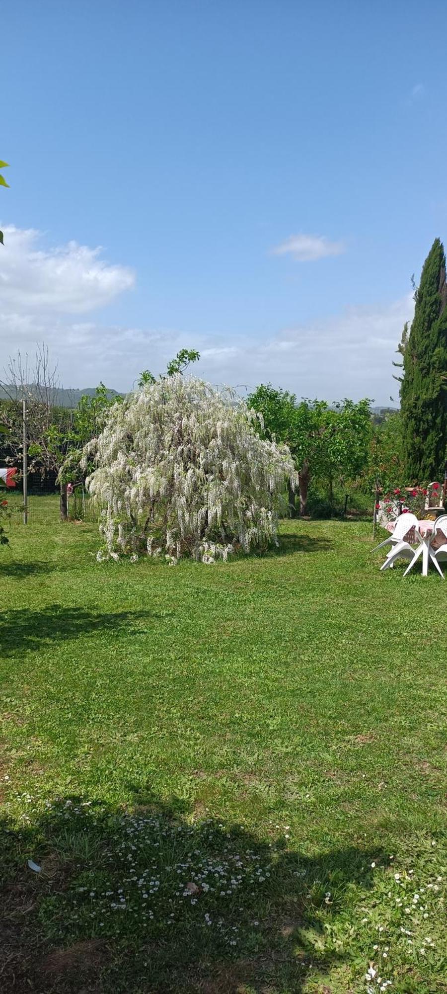 Colle Perazzoni Apartment Fiano Romano Bagian luar foto