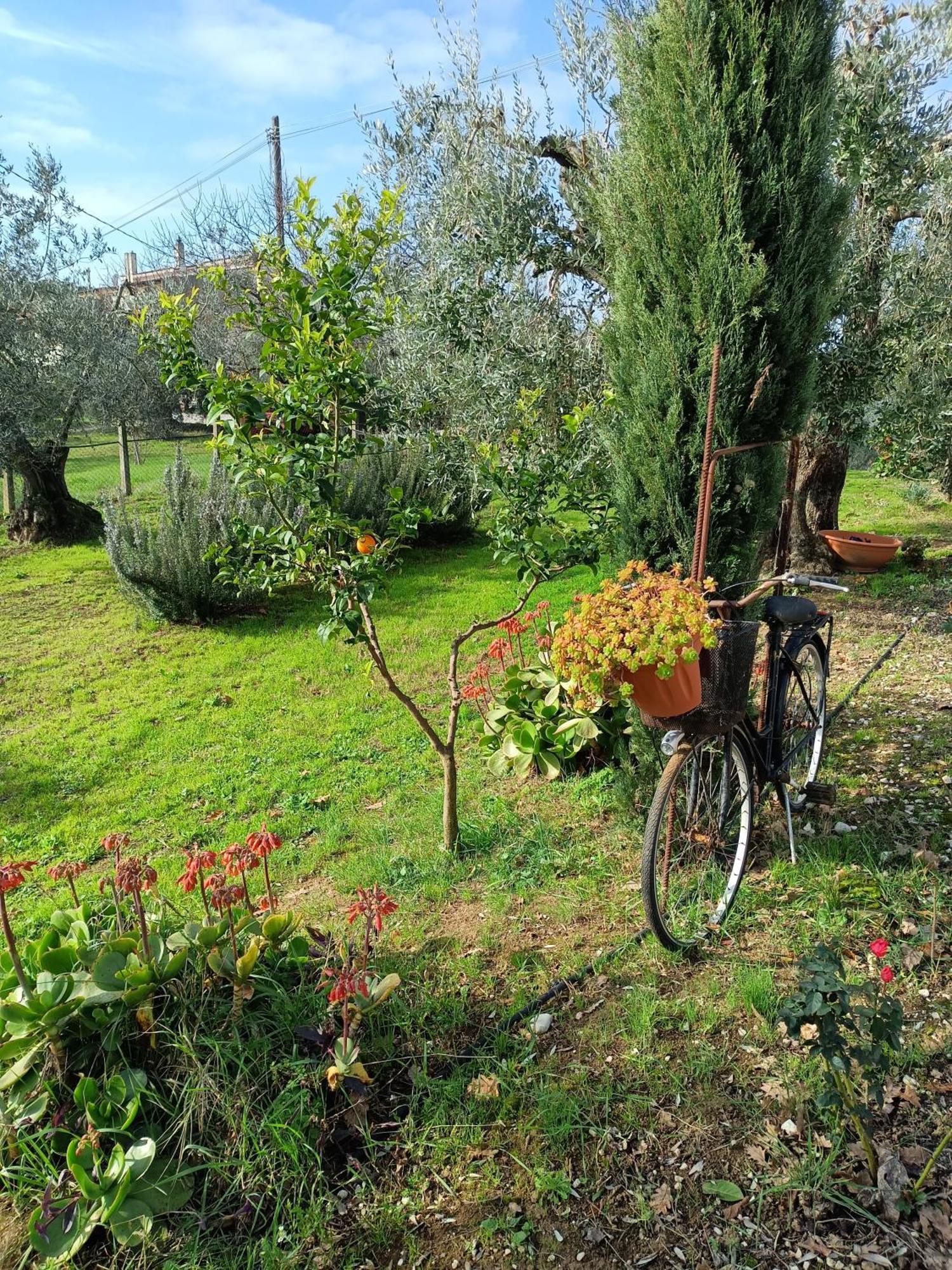Colle Perazzoni Apartment Fiano Romano Ruang foto