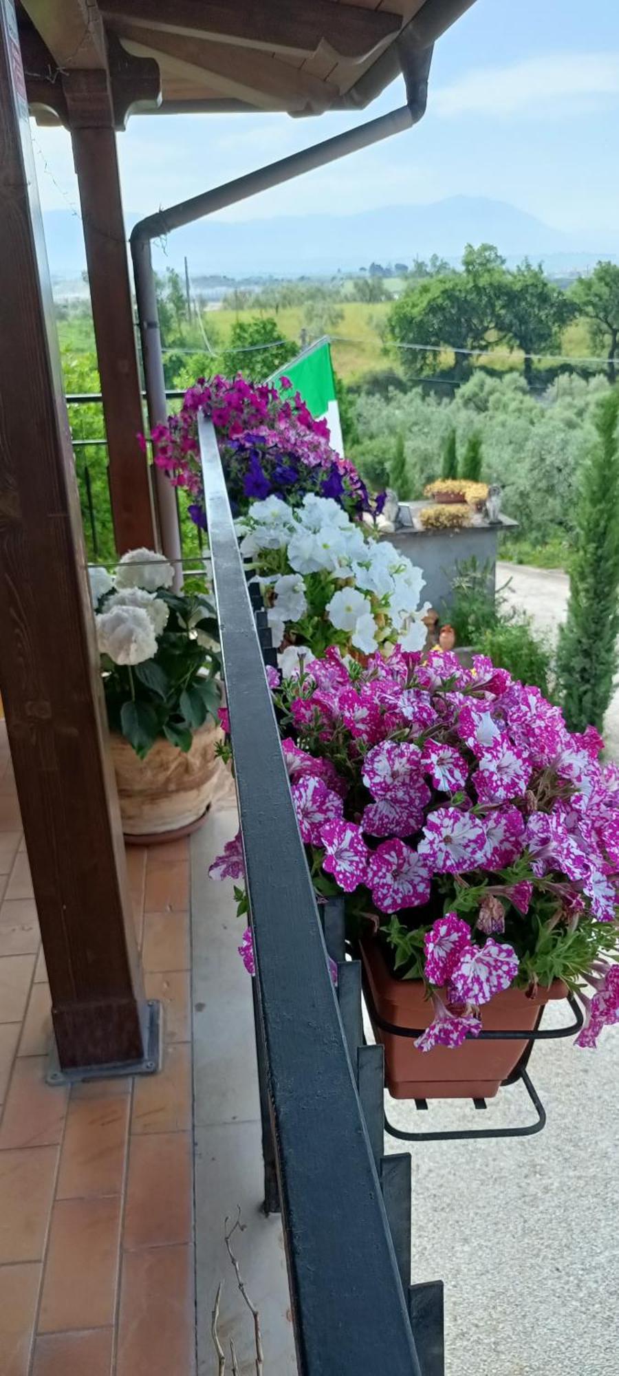 Colle Perazzoni Apartment Fiano Romano Bagian luar foto